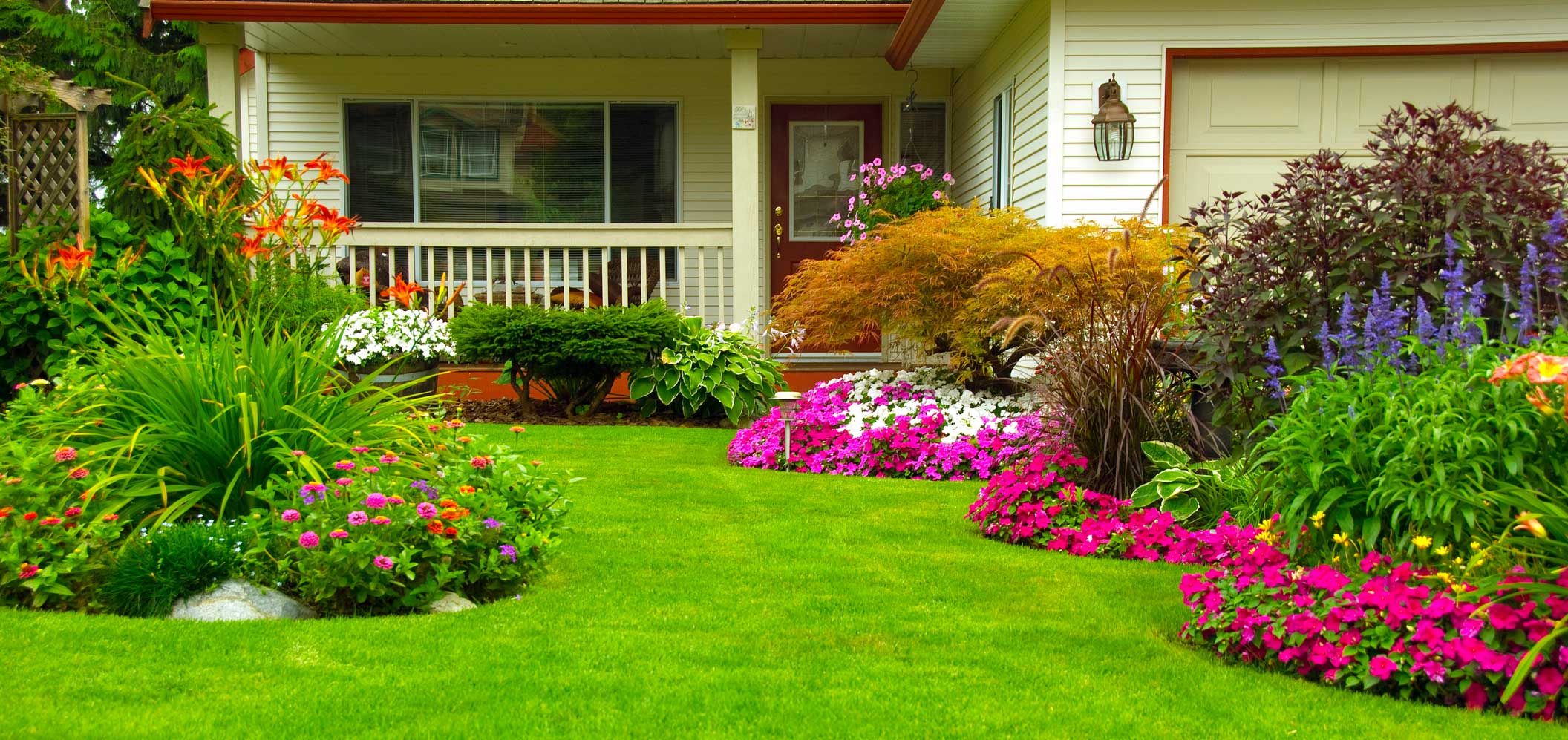 Lawn Care Services in Central Arkansas